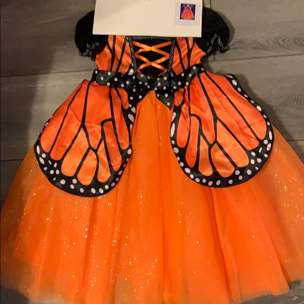 Fancy Fairytale Butterfly